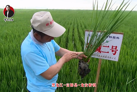 富?？h-龍安橋鎮